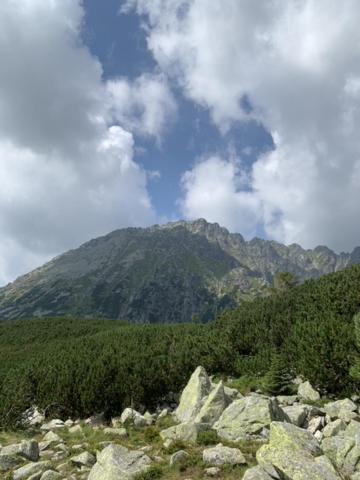Apartmán Gosciniec W Zakopanem Exteriér fotografie